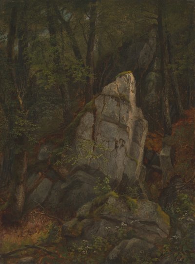 Studio di rocce nella gola di Pearson da Asher Brown Durand