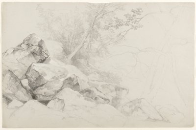 Studio di Rocce con Alberi, Hague, Lago George, New York, 1862 da Asher Brown Durand