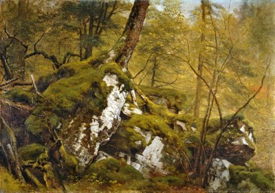 Studio di un interno boschivo da Asher Brown Durand
