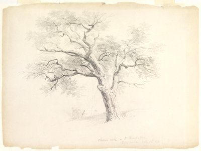La quercia castagna nella tenuta Hosack, Hyde Park, New York con cinque figure e un artista che disegna, 1838 da Asher Brown Durand