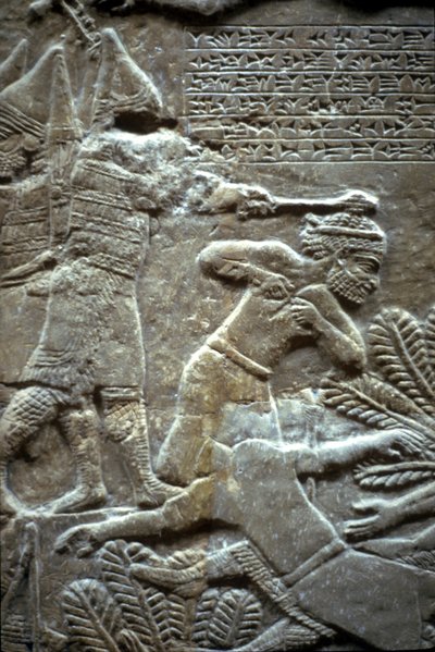 Assurbanipal alla battaglia di Til-Tuba, 650-620 a.C. da Assyrian