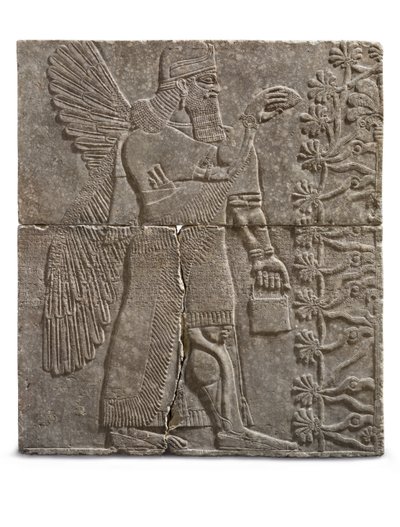 Rilievo di un genio alato, regno di Ashurnasirpal, c.883-859 a.C. da Assyrian