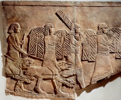Scena di Ashurbanipal a caccia, dai Palazzi Reali di Ninive, c.645 a.C. (bassorilievo in pietra) da Assyrian