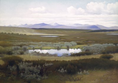 Paesaggio, Rondane da Asta Nørregaard