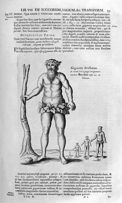 Giganti antidiluviani da Athanasius Kircher