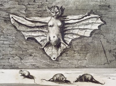 Cattus volans, 1667 da Athanasius Kircher