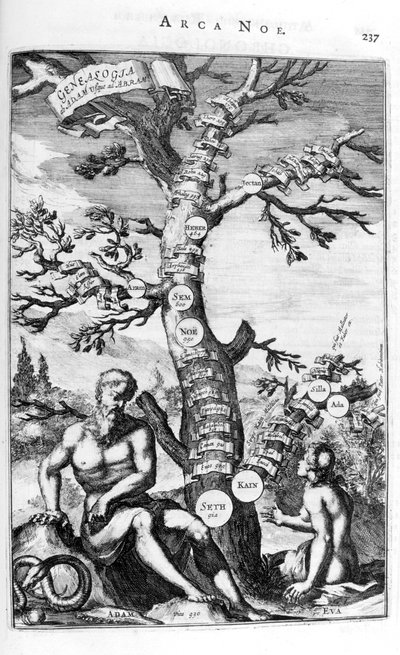 Albero genealogico di Adamo, 1675 da Athanasius Kircher