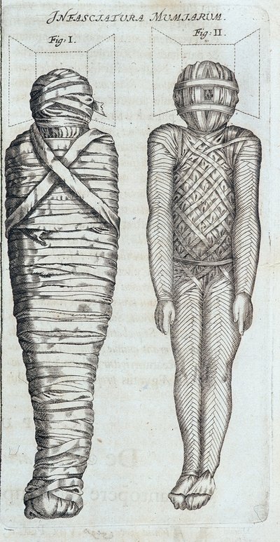 Mummie - in "Sphynx mystagoga" di Athanase Kircher da Athanasius Kircher