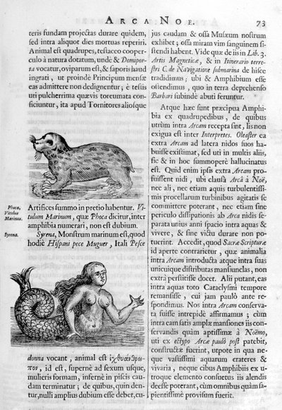 Creature mitiche, 1675 da Athanasius Kircher