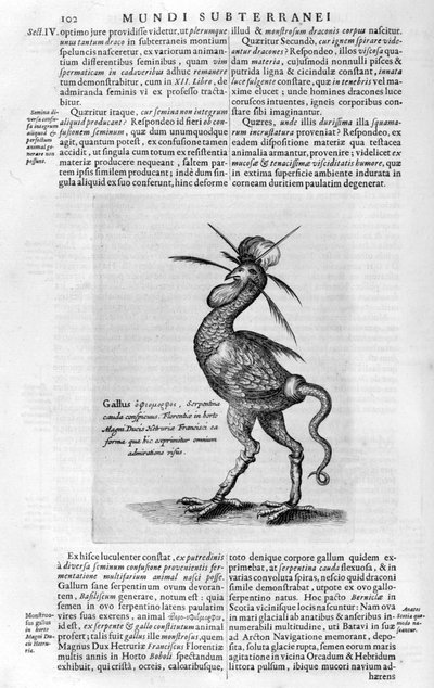 Creature mitiche, 1678 da Athanasius Kircher