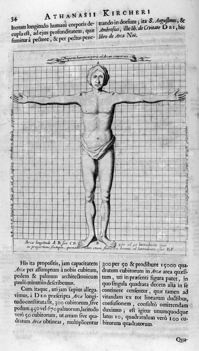Proporzioni dell