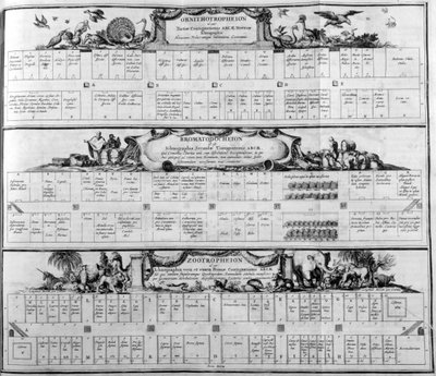 Tavola delle specie, 1765 da Athanasius Kircher