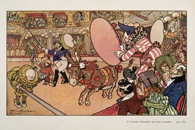 Il circo e l