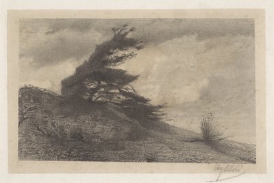 Paesaggio con tempo tempestoso da August Allebe