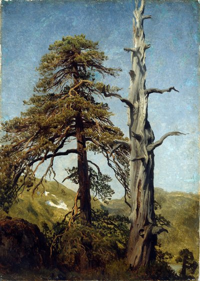 Studio di alberi, Norvegia da August Cappelen