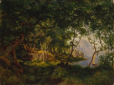 Studio di paesaggio da August Cappelen