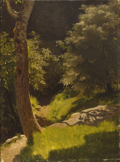 Paesaggio del parco con sentiero del giardino da August Cappelen