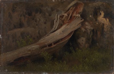 Studio di un tronco in decomposizione da August Cappelen