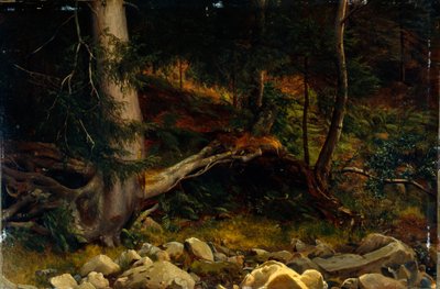 Studio del suolo della foresta (pittura) da August Cappelen