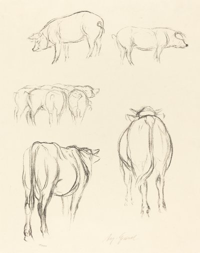 Schizzi di animali da August Gaul