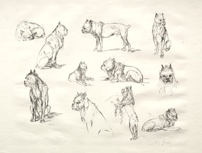 Studio di Cani da August Gaul