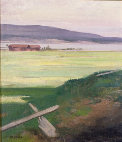 Paesaggio con uno stile, Norrland, Svezia da August Hagborg
