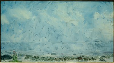 Fiori sulla spiaggia da August Johan Strindberg
