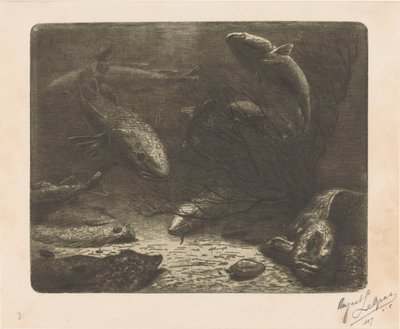 Acquario da August Le Gras (signed by artist)