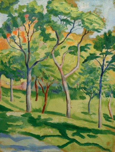 Alberi nel prato da August Macke