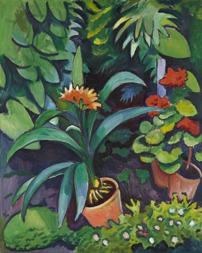 Fiori nel giardino, Clivia e Pelargoni da August Macke