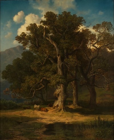 Paesaggio boschivo da August Maximilian Zimmermann
