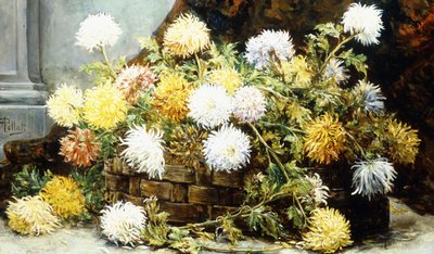 Crisantemi in un Cestino da August Pollak