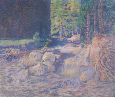 Torrente dormiente da August Roth
