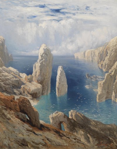 Costa ripida da August Schaeffer von Wienwald