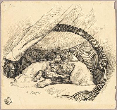 Gatto addormentato in una cesta da Auguste Andre Lancon