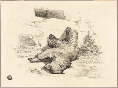Orso russo da Auguste Andre Lancon