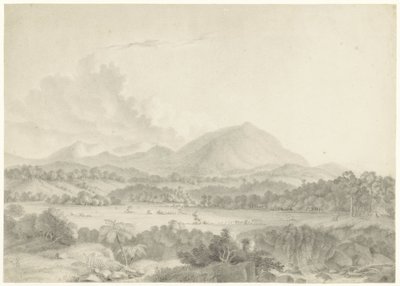 Paesaggio giavanese da Auguste Antoine Joseph Payen
