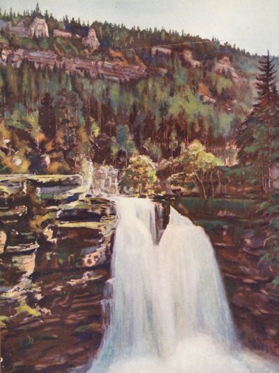 Francia: Il Salto del Doubs da Auguste Gerardin
