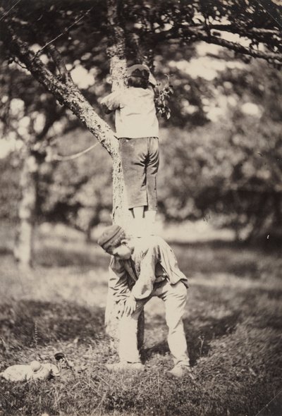 Studio di Campagna Francese: Due Ragazzi che Scalano un Albero da Auguste Giraudon