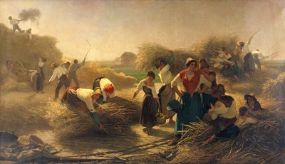 Trebbiatura della colza nei campi di Lille da Auguste Joseph Herlin