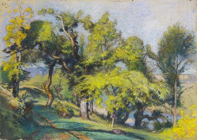 Alberi di Castagno sopra un Fiume da Auguste Lepere