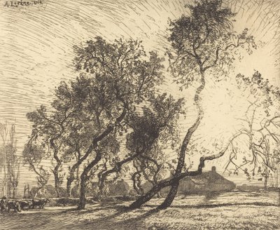La fattoria dei pioppi in Olanda, 1914 da Auguste Lepere