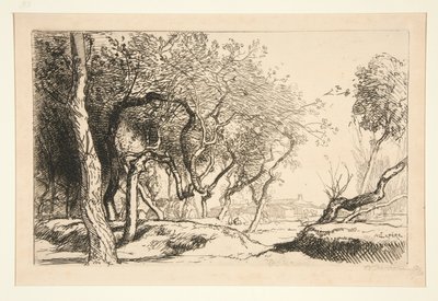 Gli Alberi Contorti (Saint-Jean-de-Monts) da Auguste Lepere