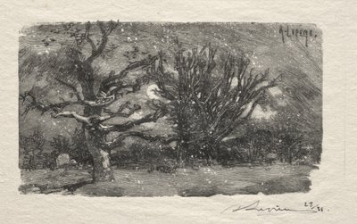 Nel dormitorio di Lantara da Auguste Louis Lepère