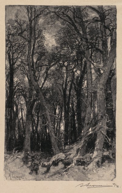 Foresta di Fontainebleau: Le Bas-Bréau, 1890 da Auguste Louis Lepère