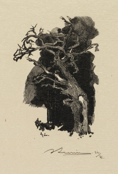 Foresta di Fontainebleau: Il furioso da Auguste Louis Lepère