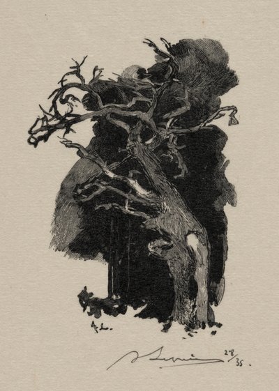 Il Furioso da Auguste Louis Lepère