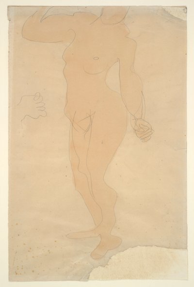Nudo in piedi (testa parzialmente tagliata dal bordo del foglio) da Auguste Rodin