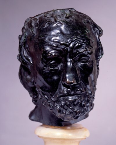 Testa di uomo con naso rotto da Auguste Rodin