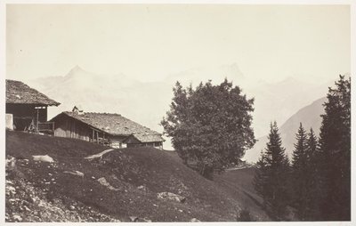 Savoie 47, Le Buet e le Rocce di Fis da Auguste Rosalie Bisson